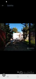 Vendita di casa circondata da pineta