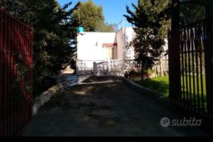 Vendita di casa circondata da pineta