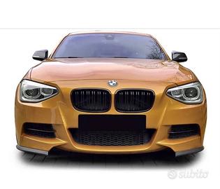 Griglie BMW SERIA 1