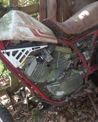 Ricambi moto Morini 350, kanguro e gs