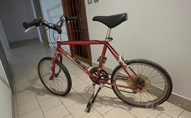 Bicicletta da bambino