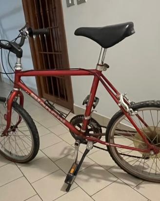 Bicicletta da bambino