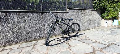 Bicicletta Mountain-bike 24