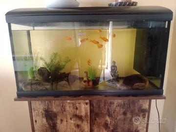 Acquario 100L