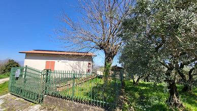 CASA INDIPENDENTE A PANNARANO