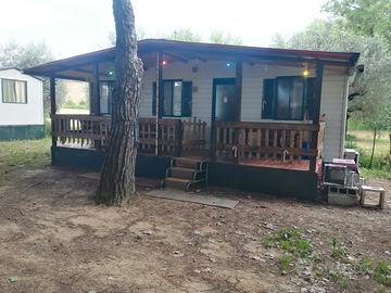 Casa mobile