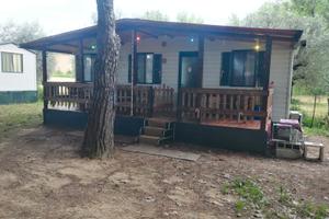 Casa mobile