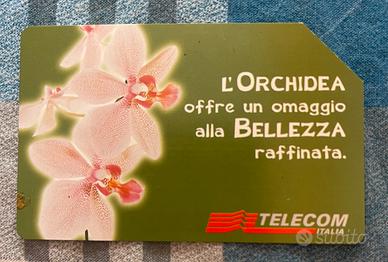 Scheda telefonica da collezione