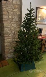 Albero di Natale 180 cm