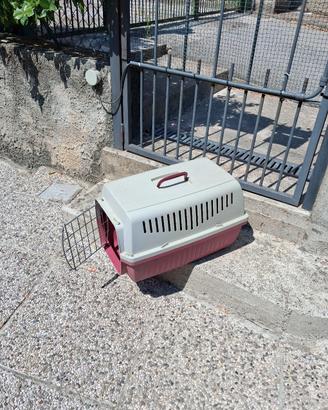 trasportino cane e gatto