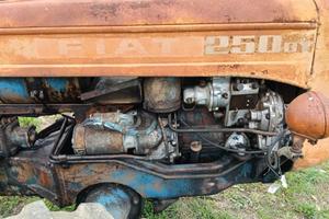 Fat montanina 250