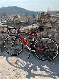 Wilier Triestina GTR Team carbonio Ultegra