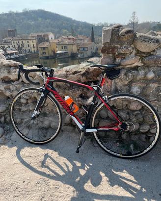 Wilier Triestina GTR Team carbonio Ultegra