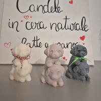 candela cani abbracciati 