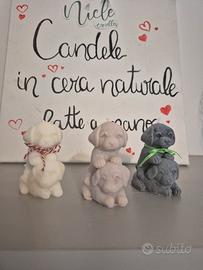 candela cani abbracciati 