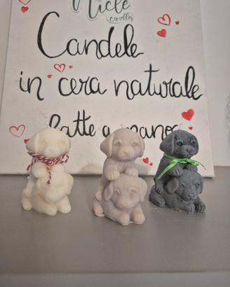 candela cani abbracciati 