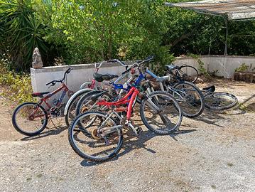 Lotto 8 Biciclette 