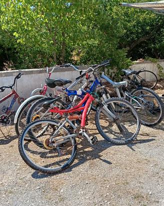 Lotto 8 Biciclette 