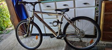 Bicicletta Mountain Bike 3 volantini davanti e 6
