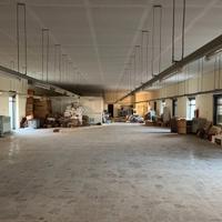 FALL 1/2023 Trib Patti - LOTTO 2