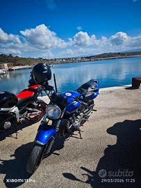 Honda Hornet 