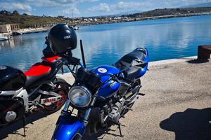 Honda Hornet 