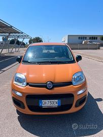 Fiat panda 2022