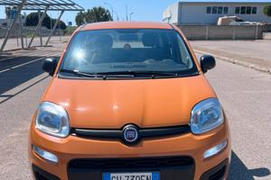 Fiat panda 2022