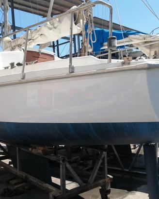 Barca a vela Alpa Dodi 6,70