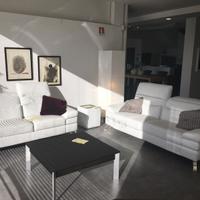 2 divani in vera pelle grezza