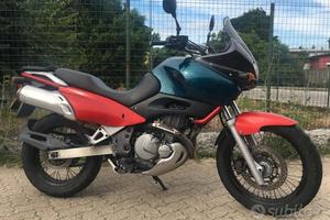 Suzuki XF Freewind 650 del 1997 compreso trapasso-