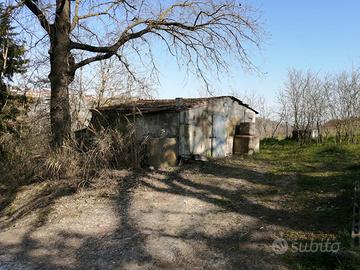 Terreno agricolo 4900mq