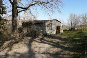 Terreno agricolo 4900mq