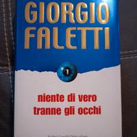Libro, Niente di vero tranne gli occhi 