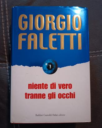 Libro, Niente di vero tranne gli occhi 