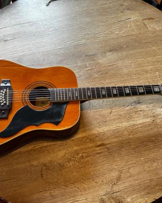 Chitarra acustica Eko Ranger XII (12 corde)Vintage