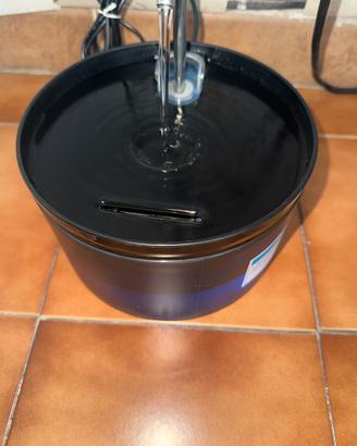 Fontanella acqua per gatti o cani piccoli