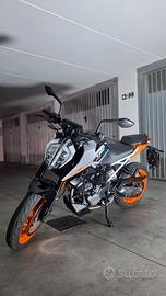 ktm duke 125 gennaio 2024