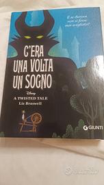 C'era una volta un sogno - Liz Braswell