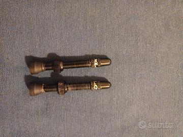 valvole tubeless XLC