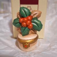 Thun piantina agrifoglio