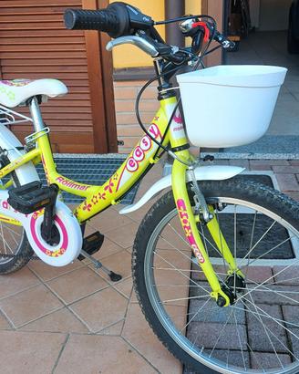 Bicicletta Bambina 20 Pollici