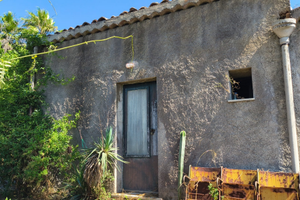 Palmento terreno fleri monterosso