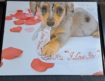 Contenitor organizer con stampa