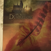 Animali fantastici i segreti di silente steelbook