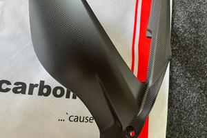 Parafango posteriore carbon Panigale Streetfighter