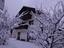 Immagine 4