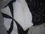 Immagine 5