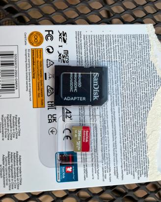 SanDisk 256gb