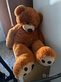 Orso peluches
